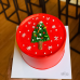 Christmas Mini Cake 003