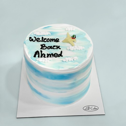 Bento Cake 008