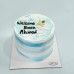 Bento Cake 008