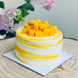 Bento Cake 006