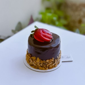 Micro Cakes 007